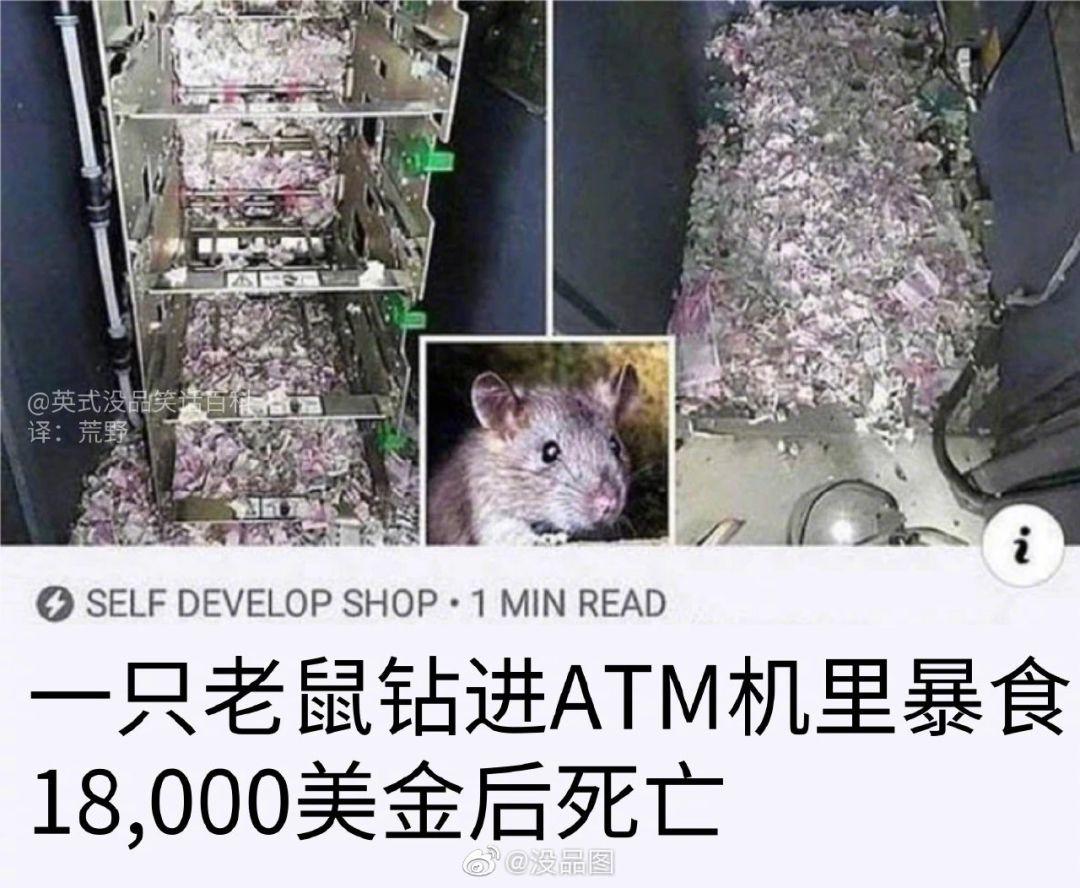 外放抖音的要注意了！！！19年11月26日份的新闻+傻屌图