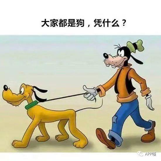 第2期:每天分享几个搞笑有趣图