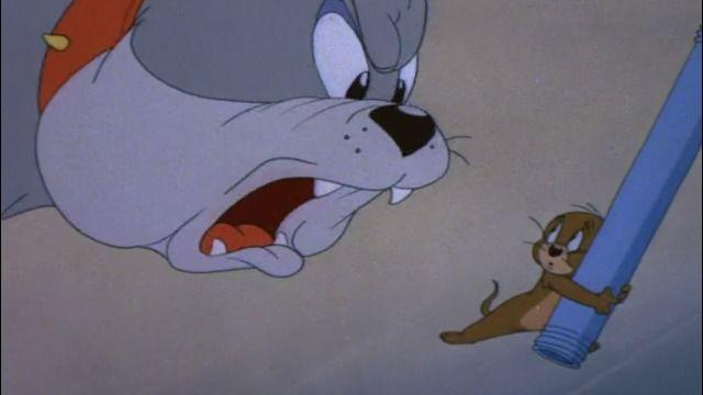 网站喵  |  在5秒内用截图找到番剧的神器（精确到剧集和分秒）