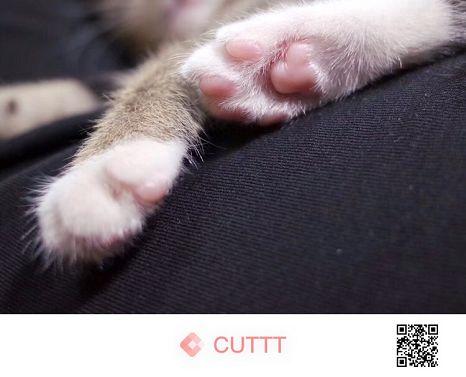 失传已久的九宫格藏图大法，朋友圈发图新姿势赶紧学起来！