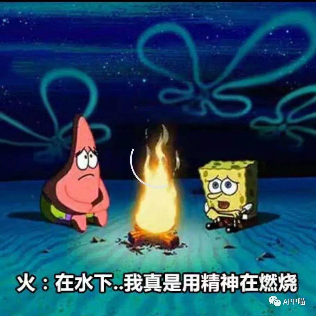 第2期:每天分享几个搞笑有趣图