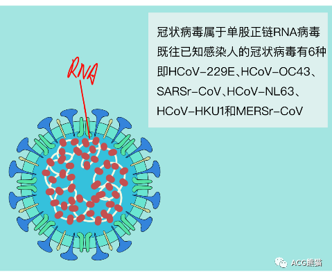 真的要去上班了吗?我好害怕