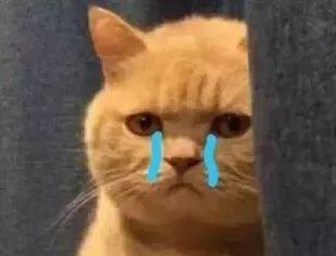 失传已久的九宫格藏图大法，朋友圈发图新姿势赶紧学起来！