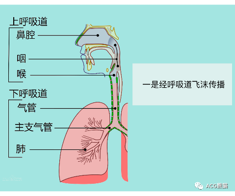 真的要去上班了吗?我好害怕