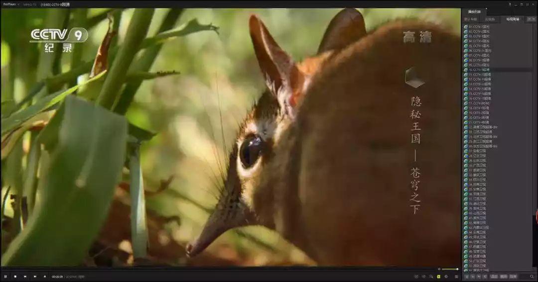 精品资源:更新一波直播源订阅地址,赶快收藏