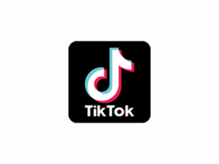 tiktok网页版安装成app
