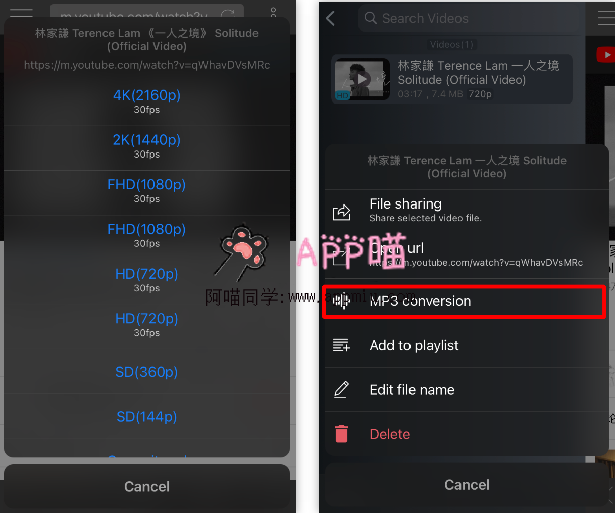 视频探嗅下载工具Vbox