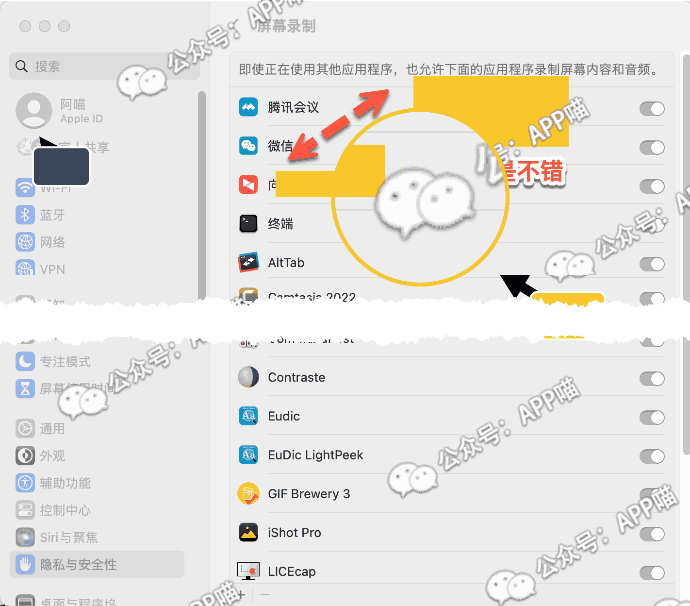 Snagit 2023-APP喵：软件资源
