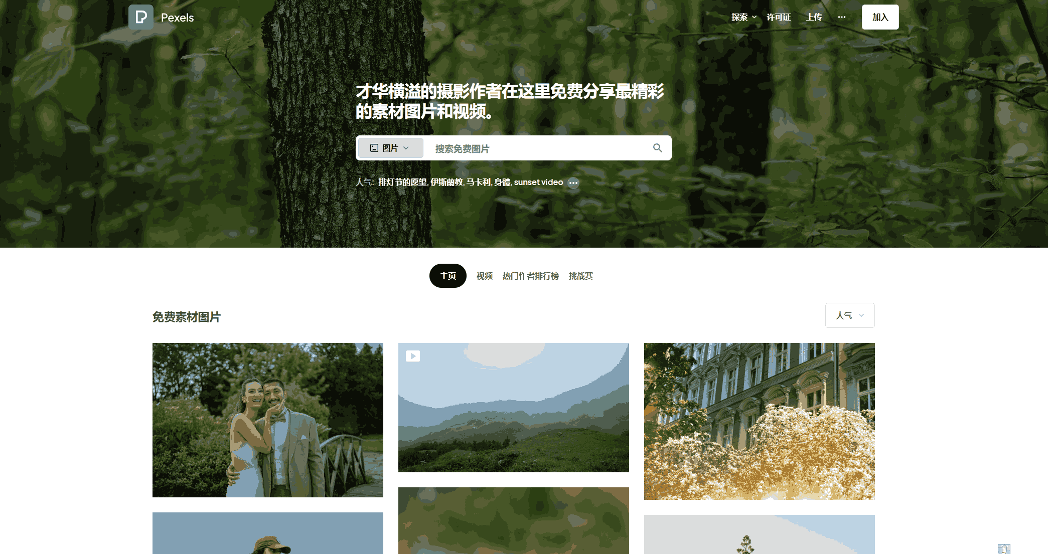 Pexels：免费无版权可商用图片视频素材网站-APP喵：软件资源