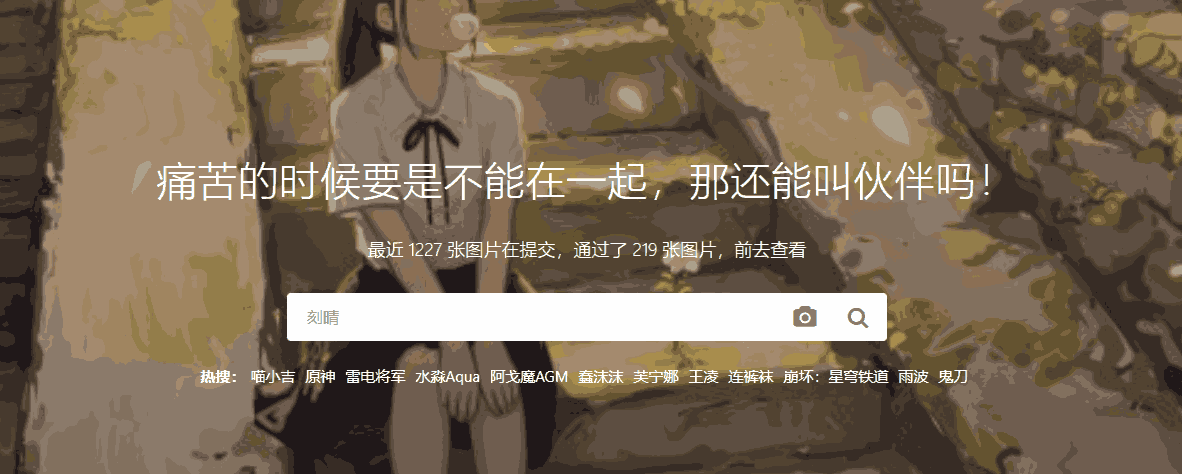 花猫壁纸,在这里不只有壁纸等你发现